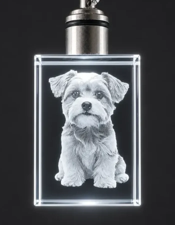 Dog 3D crystal keychain